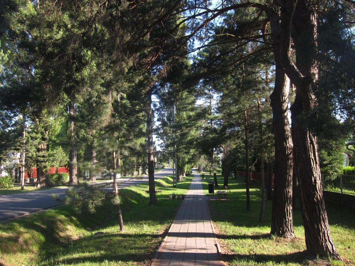 Tutijo Haziko Villa Balatonfenyves Ngoại thất bức ảnh